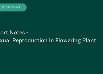 Short Notes - Sexual Reproduction in Flowering Plant