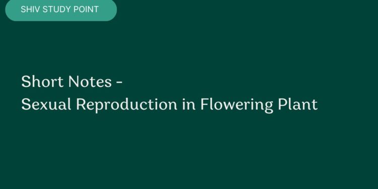 Short Notes - Sexual Reproduction in Flowering Plant
