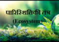 ECOSYSTEM