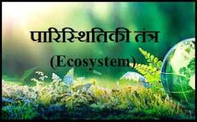 ECOSYSTEM