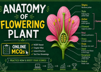 anatomy-of-flowering-plant-online-mcqs.png