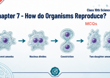 Chapter 7- How do Organisms Reproduce 01
