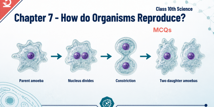 Chapter 7- How do Organisms Reproduce 01